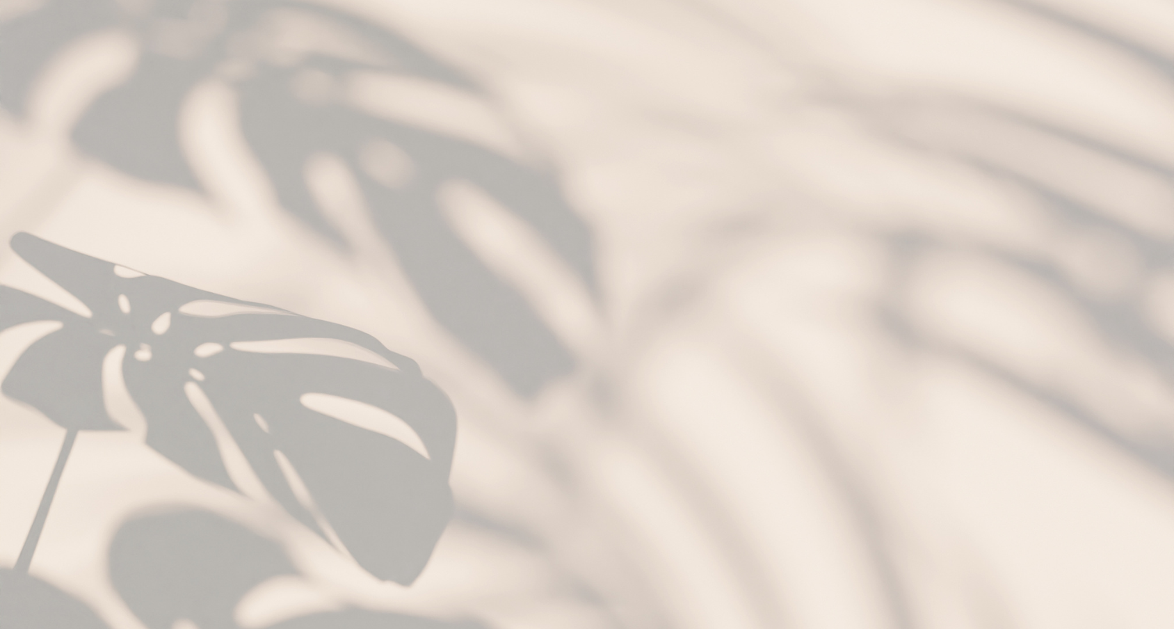 Monstera shadow