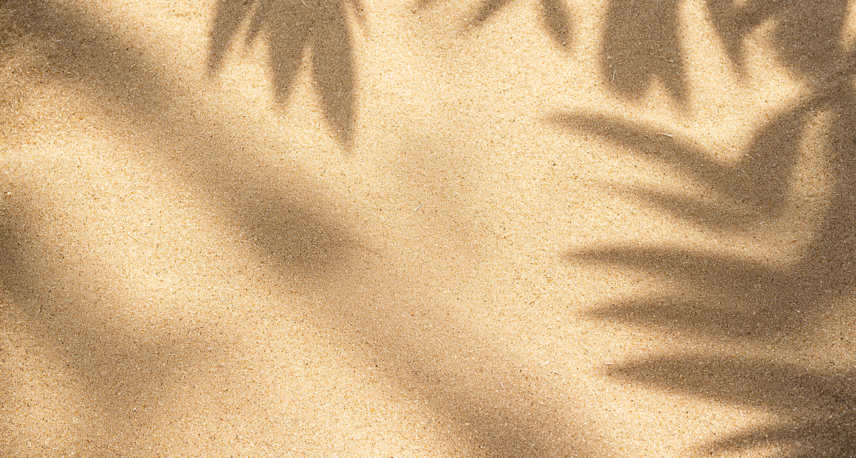 Palm leaf shadows on sand